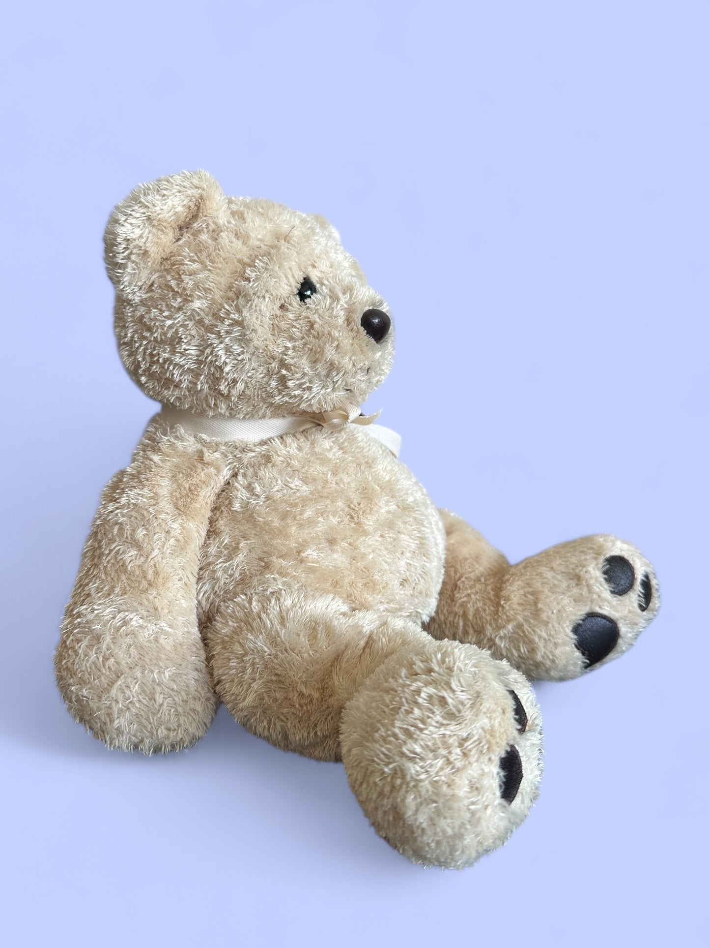 Teddy