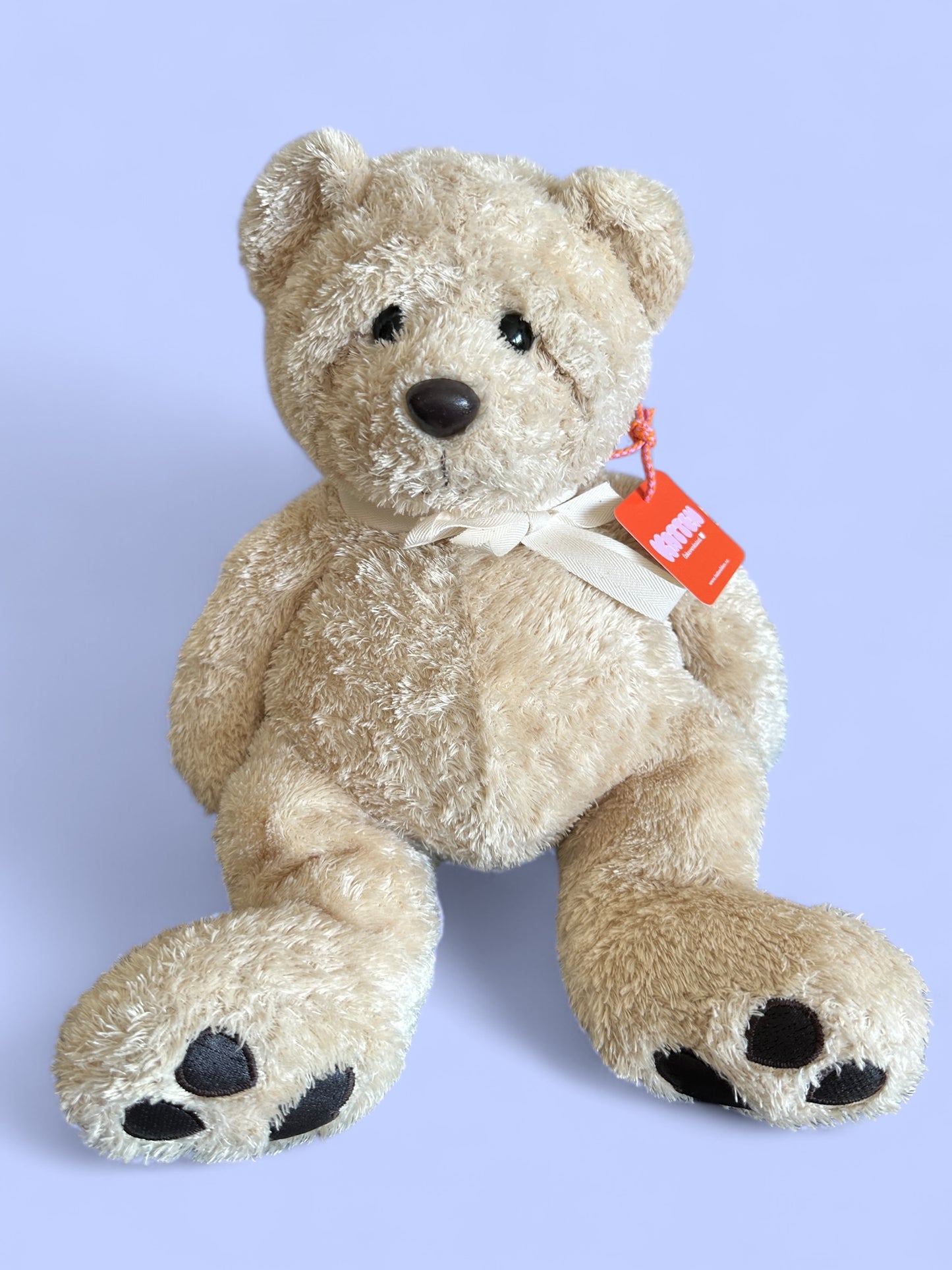 Teddy