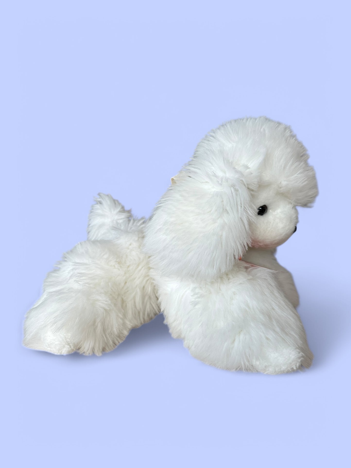 Mio japansk puddel