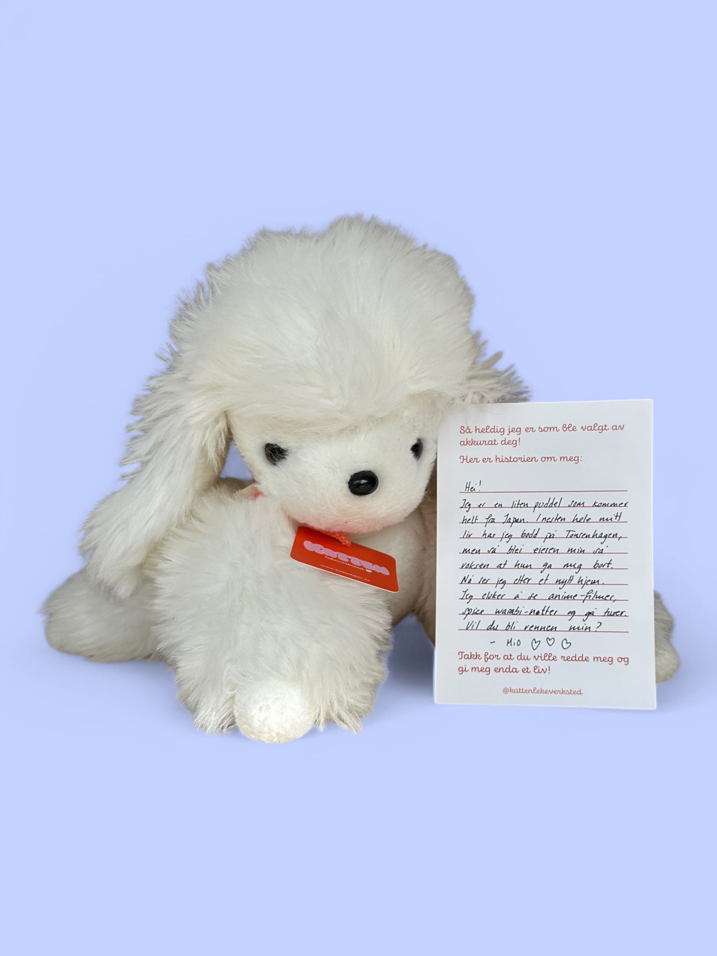 Mio japansk puddel