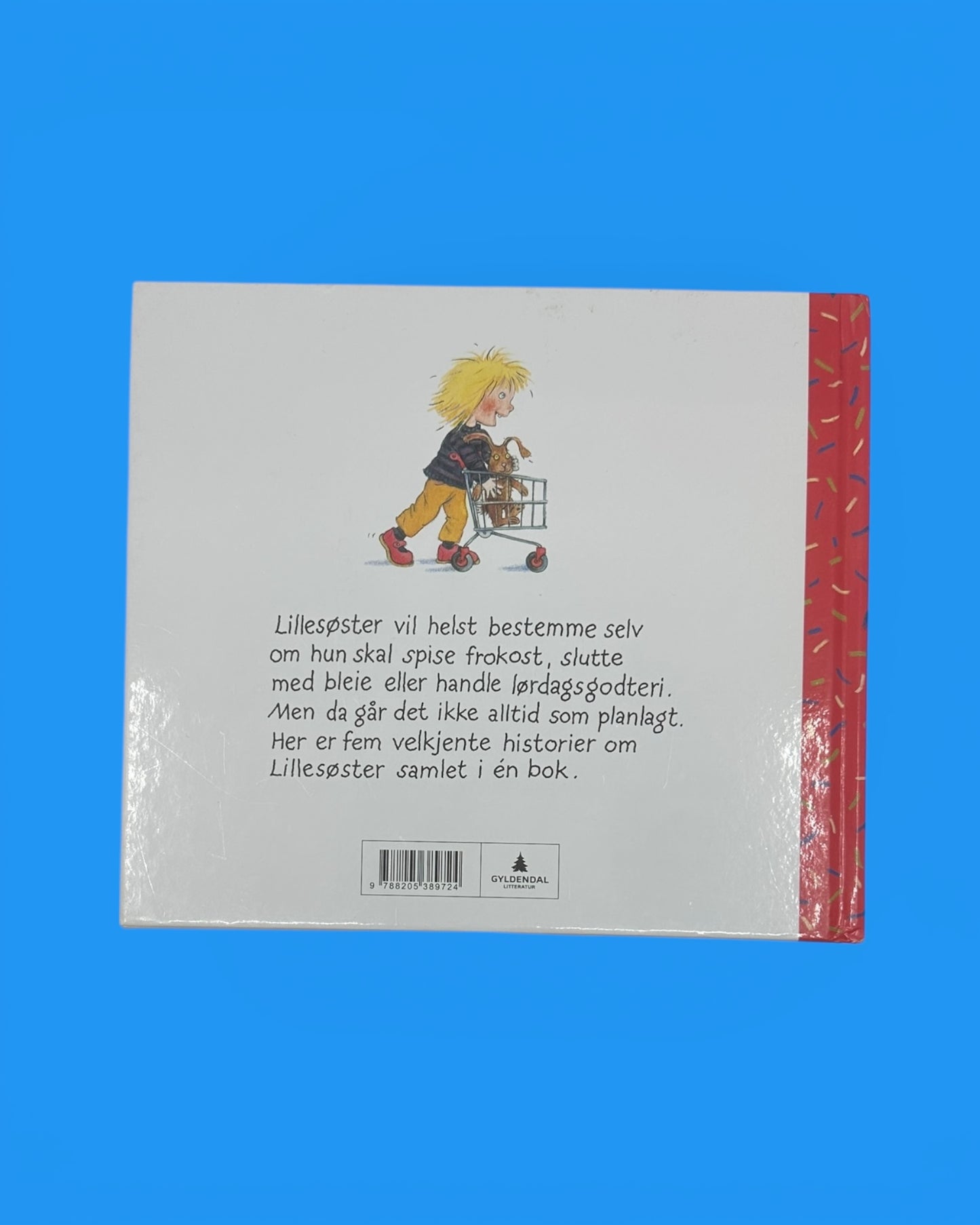 Den store lillesøsterboka