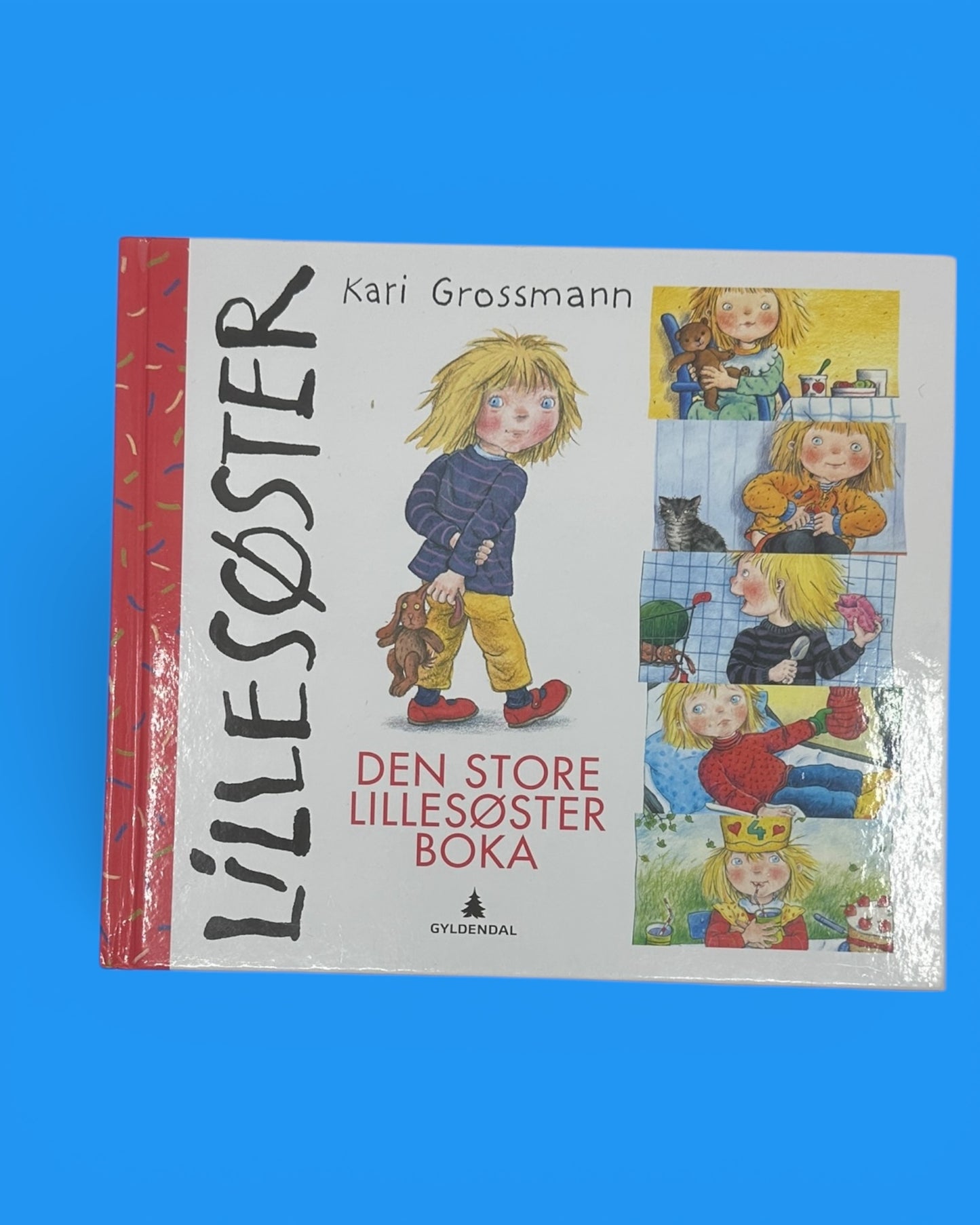 Den store lillesøsterboka