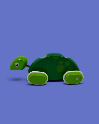 Brio skilpadde