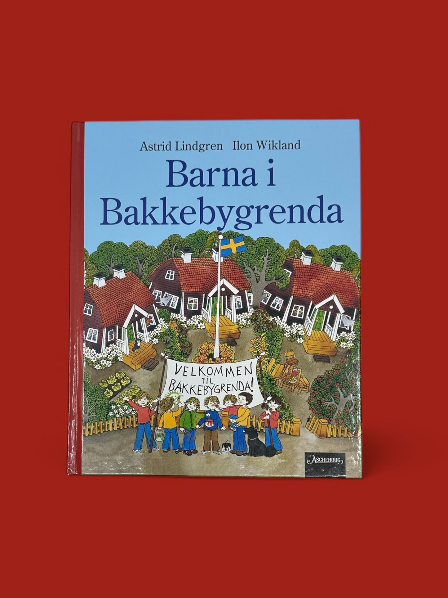 Barna i bakkebygrenda