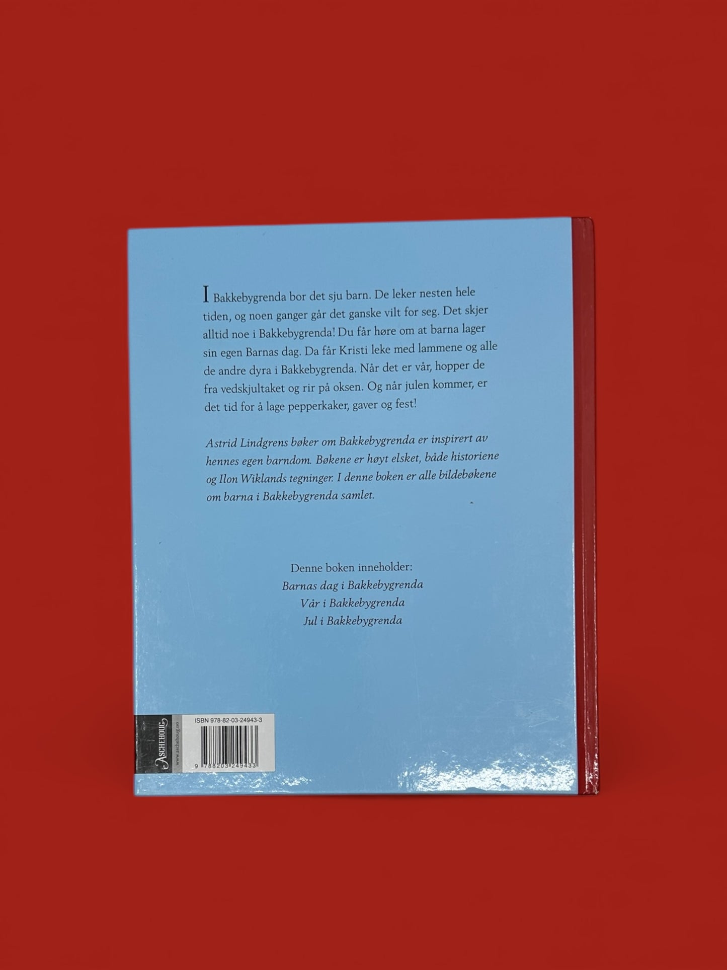 Barna i bakkebygrenda