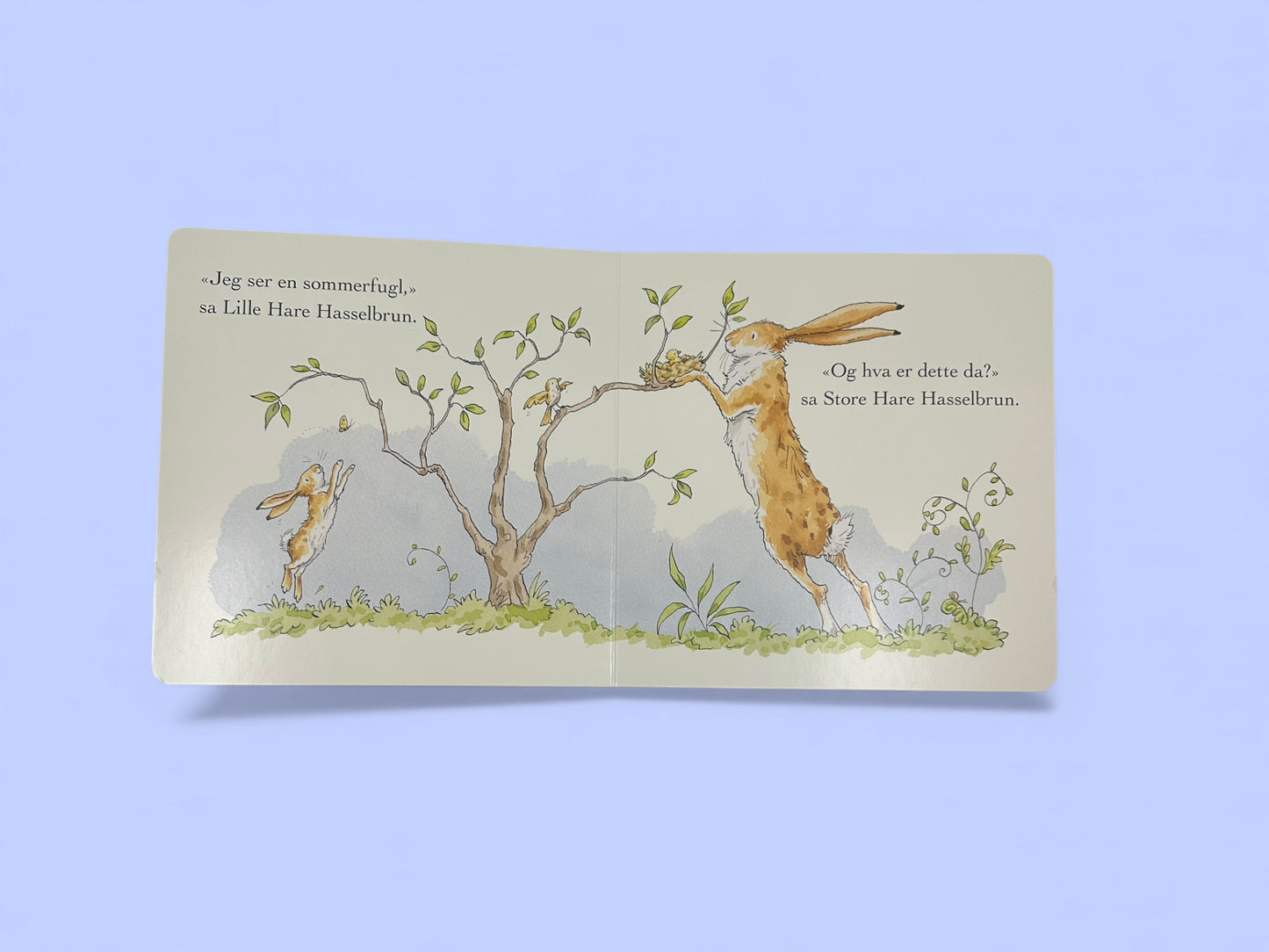 Jeg ser meg! Kanin-pakken